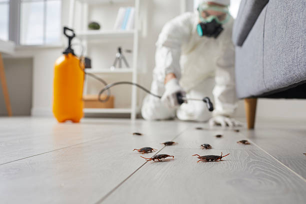 Trusted Cockroach Control service in Park City, KS - Nex Pest Control